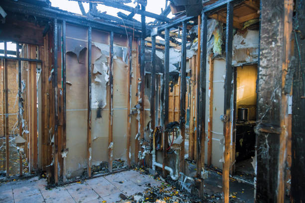 Professional Fire Damage Removal technician working in Park Forest, IL